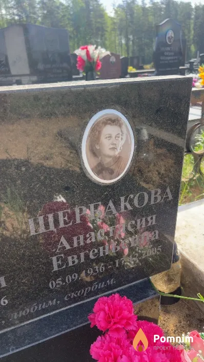 Щербакова Анастасия Евгеньевна