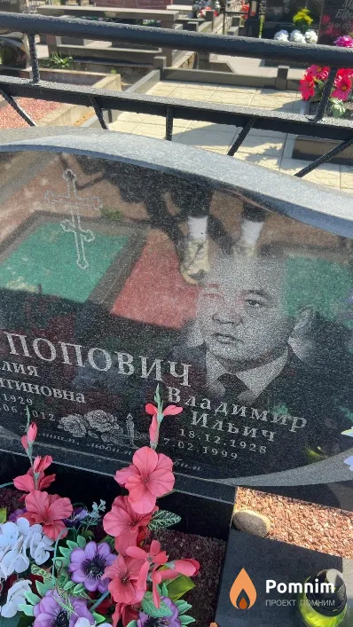 Попович Владимир Ильич