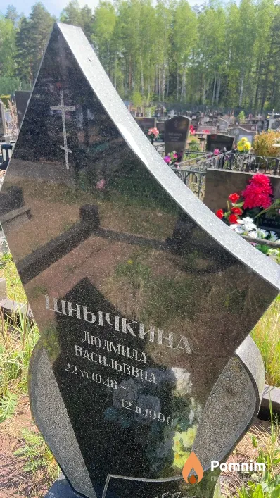 Шнычкина Людмила Васильевна