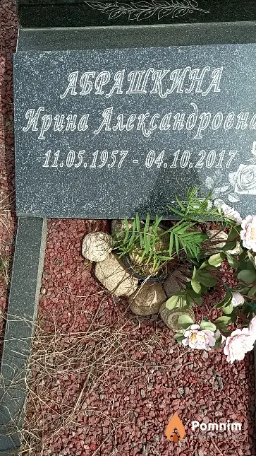 Абрашкина Ирина Александровна