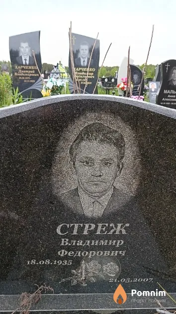 Стреж Владимир Федорович