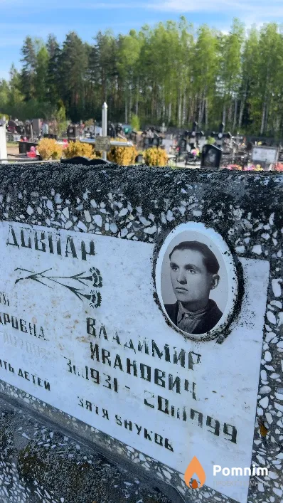 Довнар Владимир Иванович