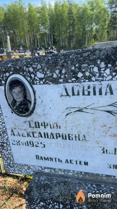 Довнар Софья Александровна