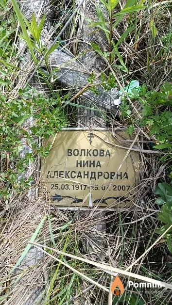 Волкова Нина Александровна