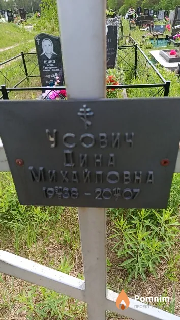 Усович Дина Михайловна