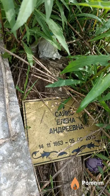 Сайко Елена Андреевна