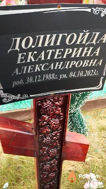 Долигойда Екатерина Александровна