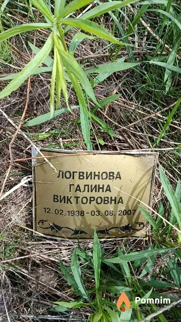 Логвинова Галина Викторовна