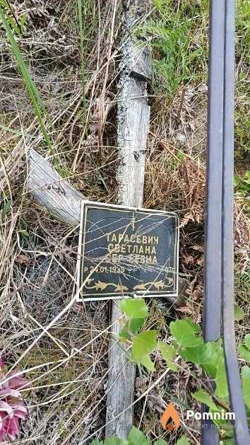 Тарасевич Светлана Сергеевна