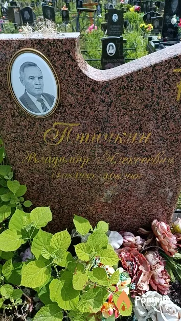 Птичкин Владимир Александрович