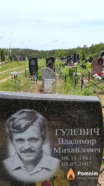 Гулевич Владимир Михайлович