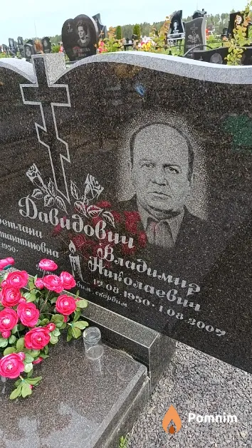 Давидович Владимир Николаевич