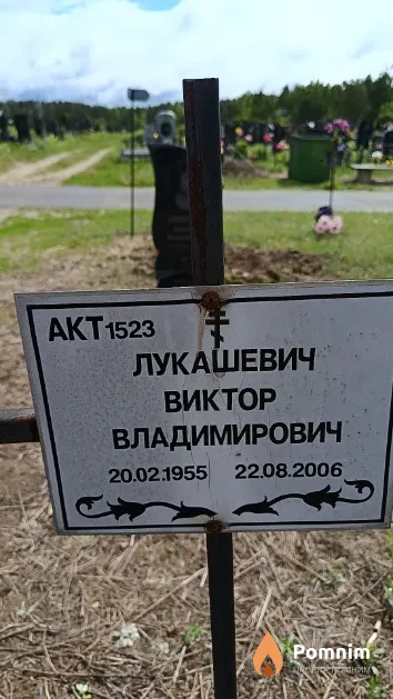 Лукашевич Виктор Владимирович