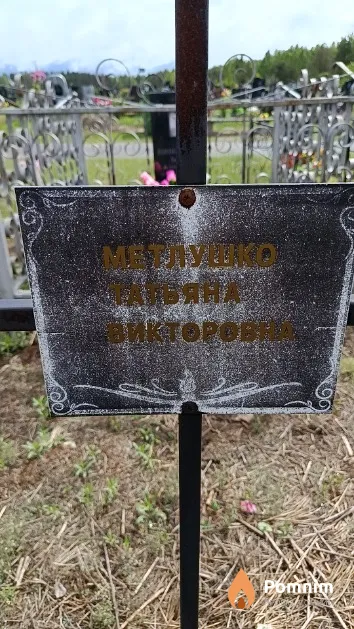 Метлушко Татьяна Викторовна