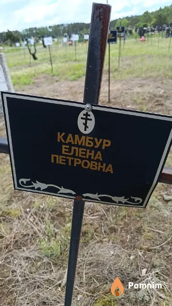 Камбур Елена Петровна