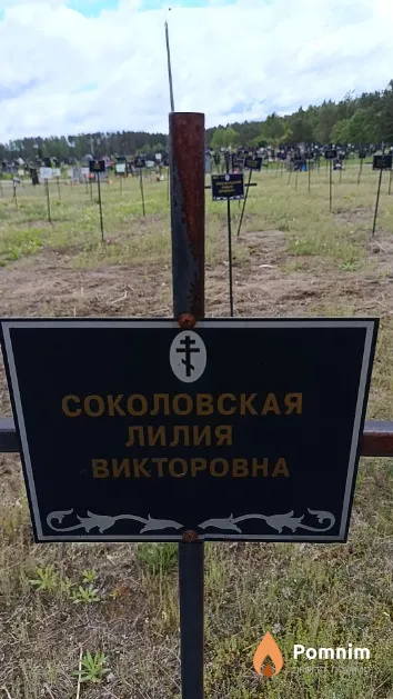 Соколовская Лилия Викторовна
