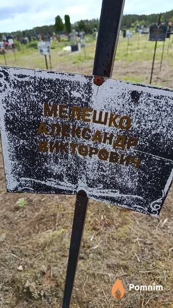 Мелешко Александр Викторович