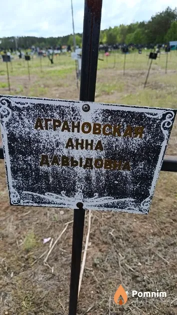 Аграновская Анна Давыдова