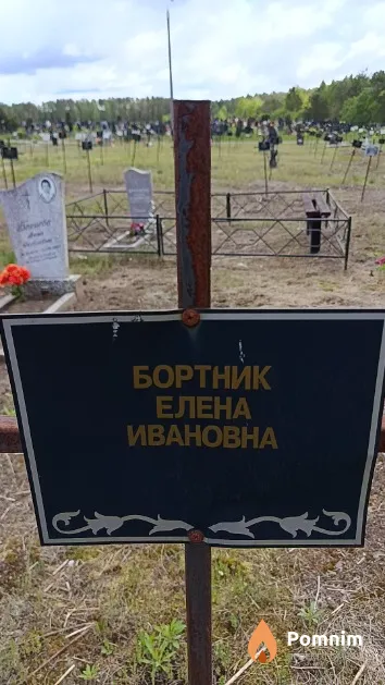 Бортник Елена Ивановна