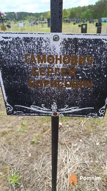 Гаманович Сергей Борисович