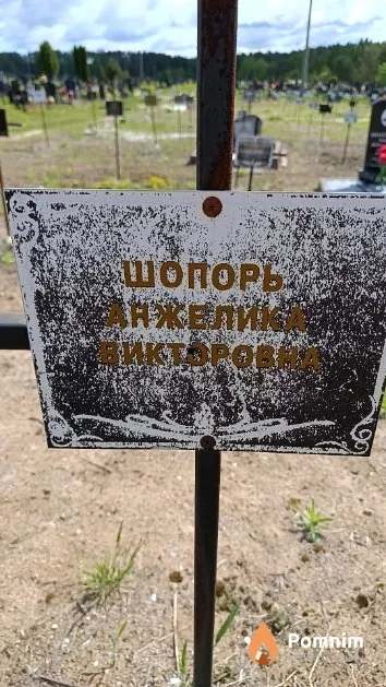 Шопорь Анжелика Викторовна