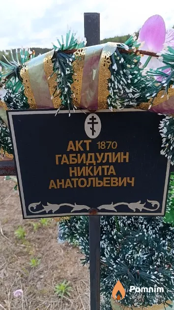 Габидулин Никита Анатольевич