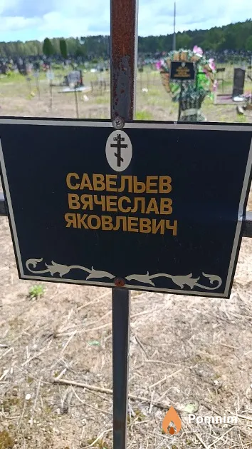 Савельев Вячеслав Яковлевич