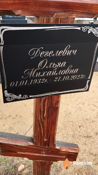 Дегелевич Ольга Михайловна