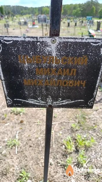 Цыбульский Михаил Михайлович