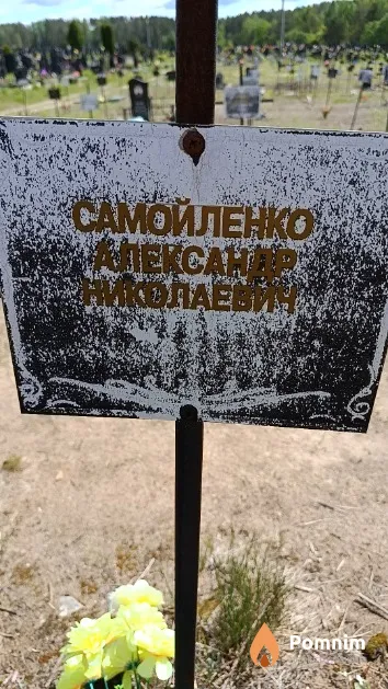 Самойленко Александр Эниколаевич