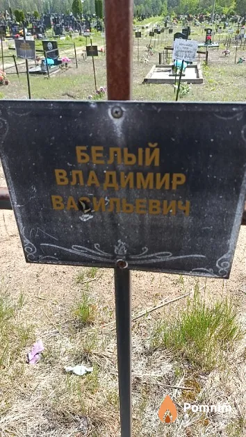 Белый Владимир Васильевич