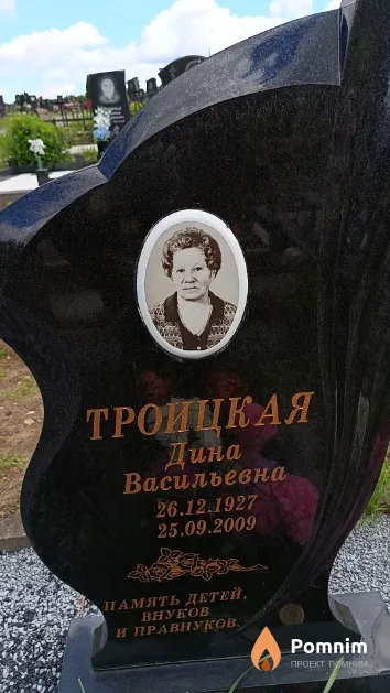 Троицкая Дина Васильевна