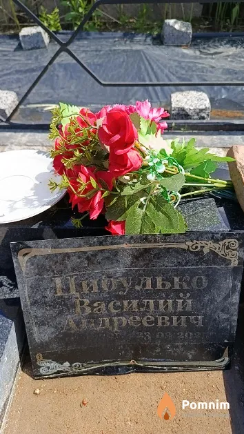 Цибулько Василий Андреевич