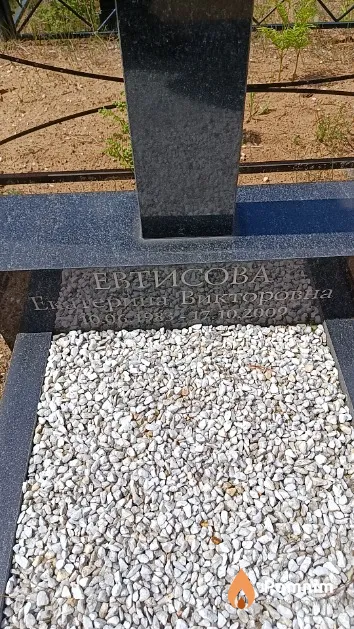 Евтисова Екатерина Викторовна
