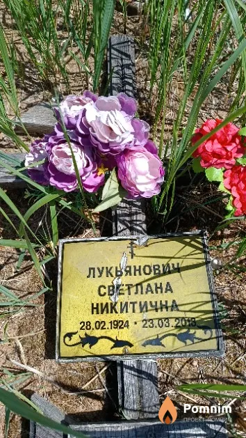Лукьянович Светлана Никитична
