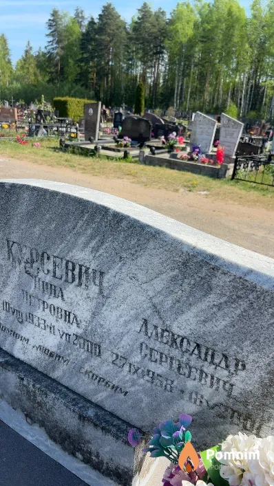 Курсевич Александр Сергеевич
