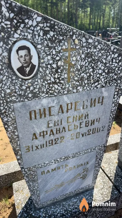 Писаревич Евгений Афанасьевич
