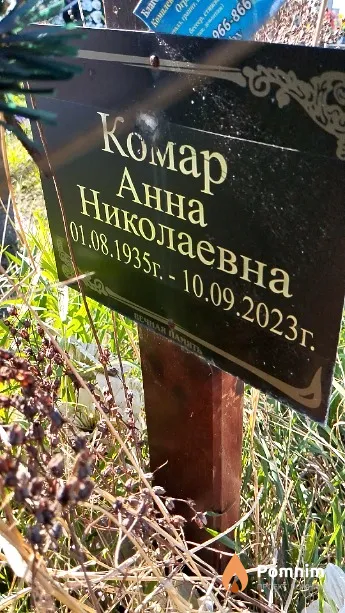 Комар Анна Николаевна