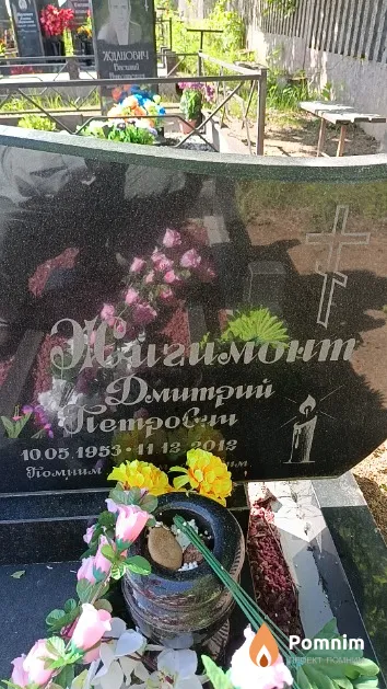 Жигимонт Дмитрий Петрович