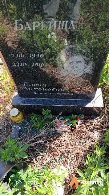 Барейша Елена Антоновна