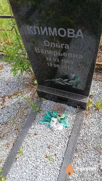 Климова Ольга Валерьевна