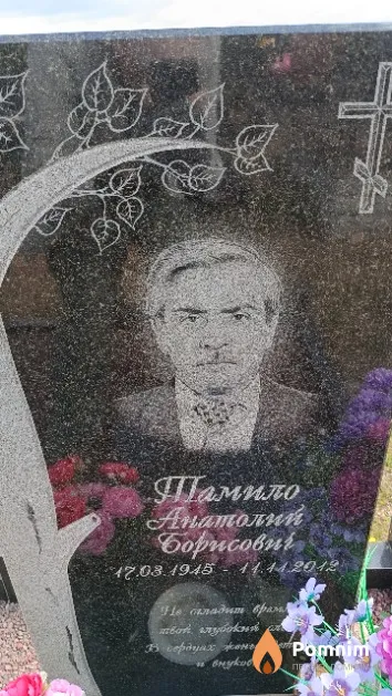 Тамило Анатолий Борисович