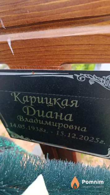Карицкая Диана Владимировна
