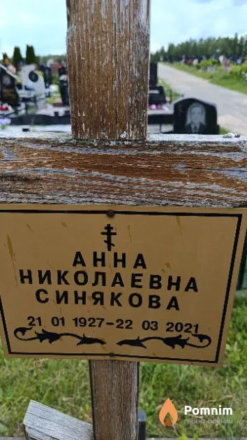 Синякова Анна Николаевна