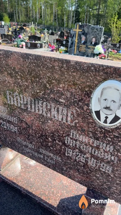 Боровский Дмитрий Антонович