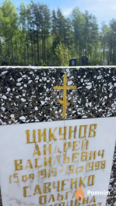 Цикунов Андрей Васильевич