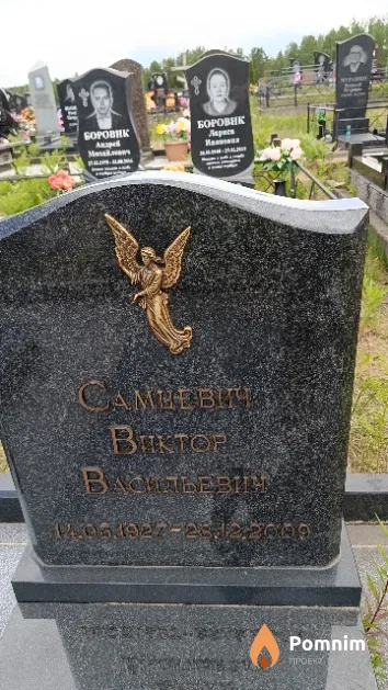 Самцевич Виктор Васильевич