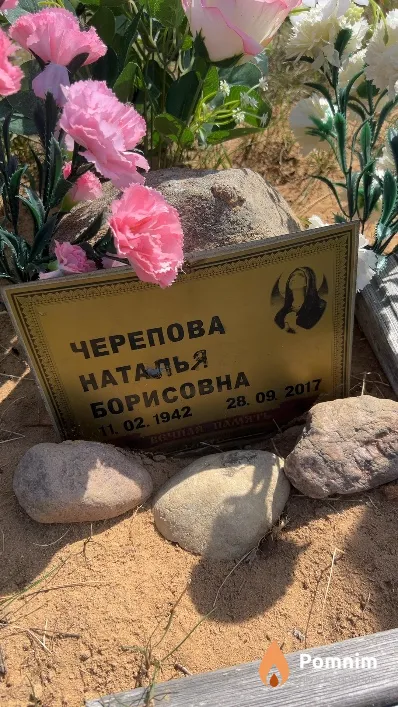 Черепова Наталья Борисовна