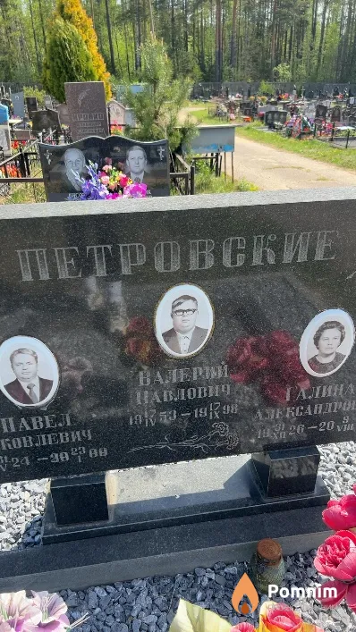 Петровский Валерий Павлович