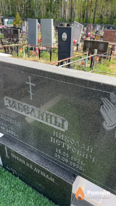 Забелин Николай Петрович
